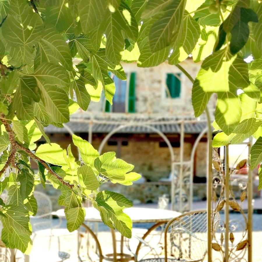 Fattoria Tolomei Campagnatico Exterior foto
